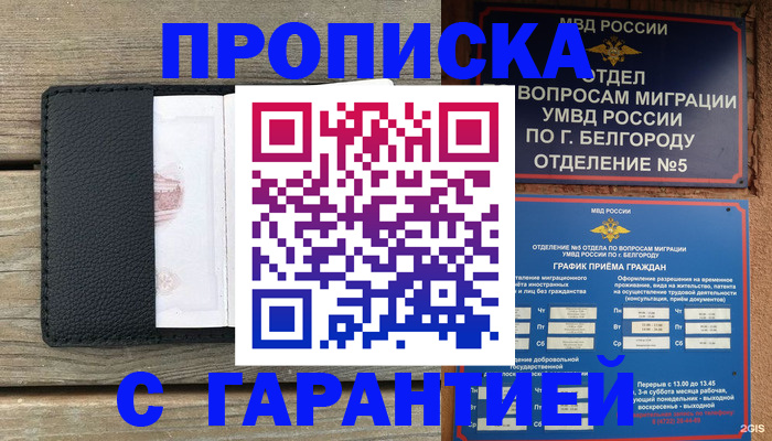 временная регистрация для всех в Шали